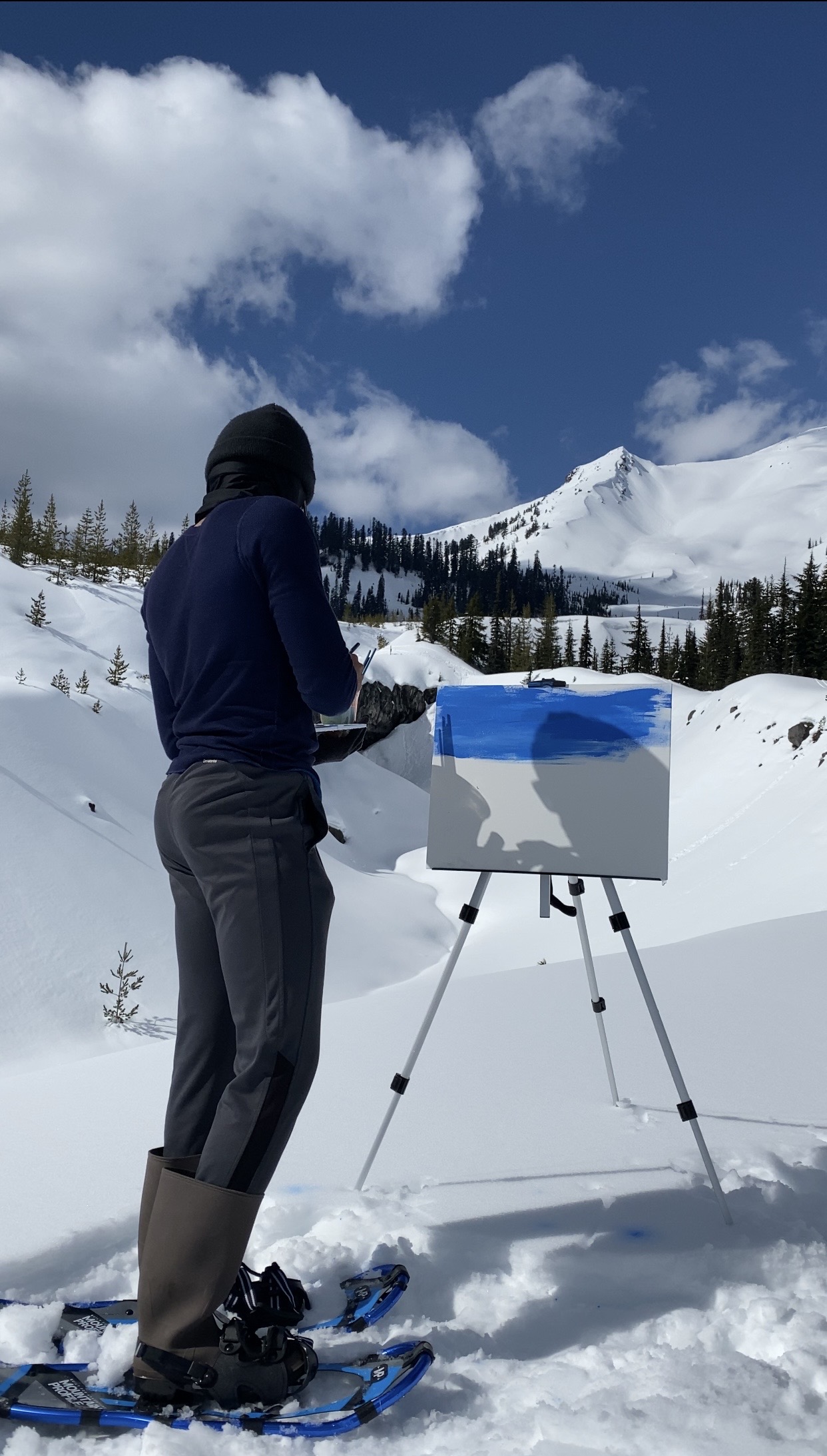 Painting at Mt. St. Helens